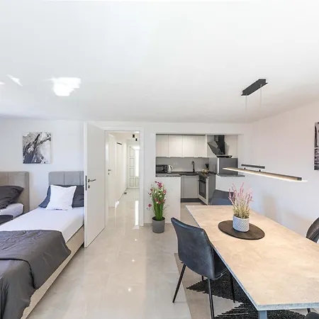 Simic * 트로기르